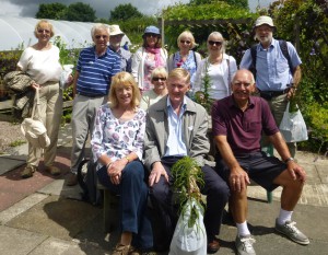 Bluebell Cottage Gardens 2014