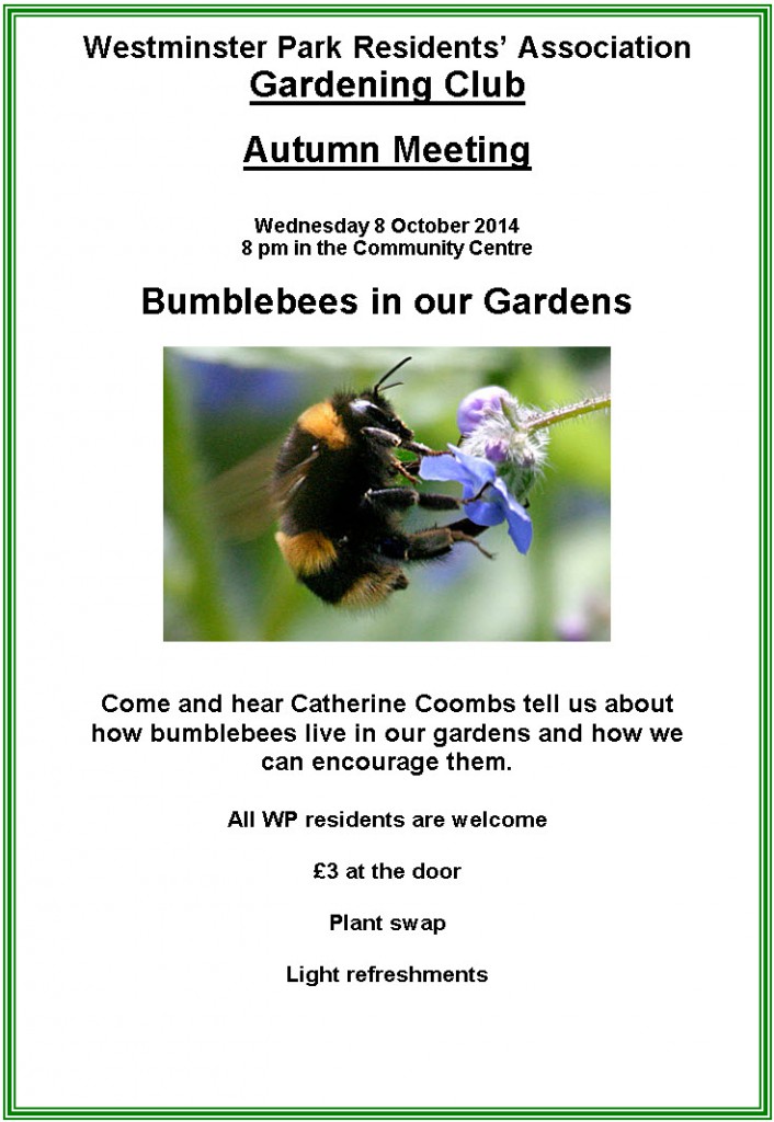 Gardening Club Bumble Bees